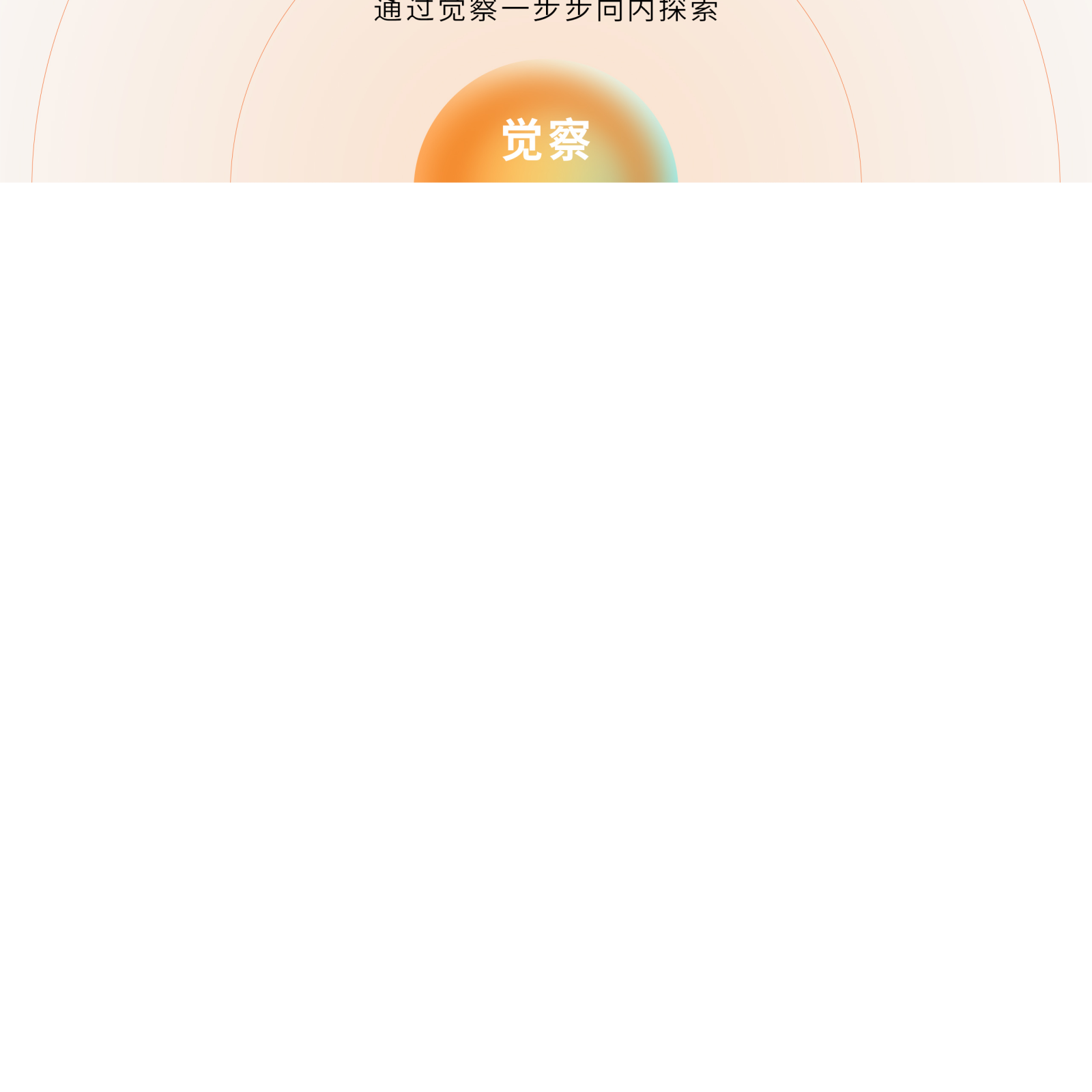 挠气源宝 Qi Torsion